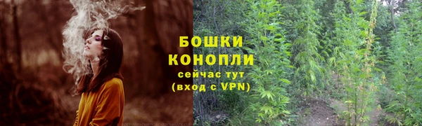 прущие крисы Баксан