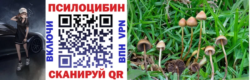 цена наркотик  Котельниково  Галлюциногенные грибы Psilocybine cubensis 